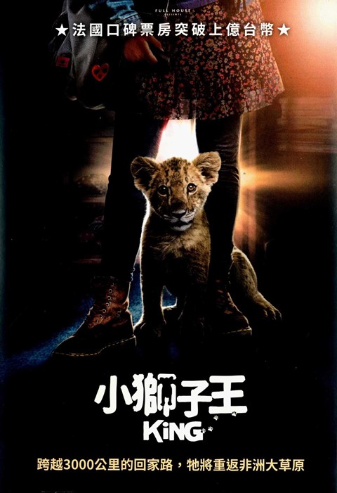 小獅子王 King
